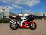 Aprilia RS250 DIABLO NERO - APRILIA 250
