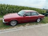 Jaguar xj 40 xjr Sport - Jaguar XJ40 von privat