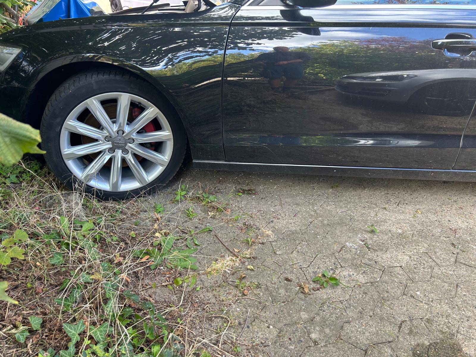 Audi Quattro 2011 — photo 12