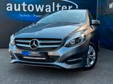 Mercedes-Benz B 250,AHK abnehmbar - Mercedes-Benz B 250 Gebrauchtwagen