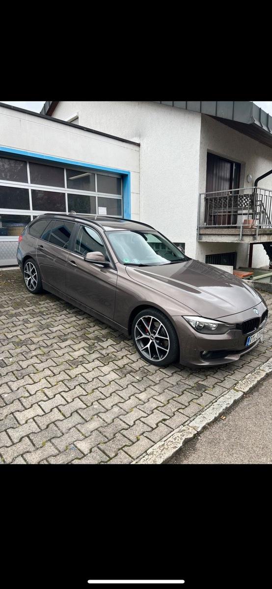 BMW 318 2013 — вигляд ззаду