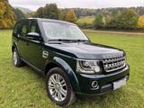 Land Rover Discovery 3.0 TDV6 HSE, Traum in Grün-Beige - Land Rover Discovery: Discovery3