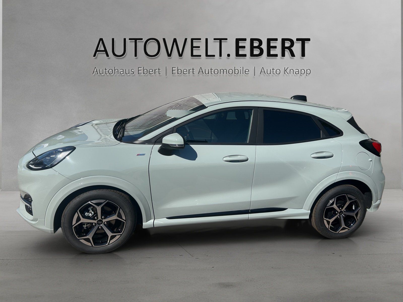 Fahrzeugabbildung Ford Puma ST Line,FGS 3.-5 Jahr bis 100 000KM