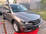 Volkswagen Tiguan Track & Field 4Motion/Automatik/Klima/AHK - Volkswagen Tiguan: Field Track