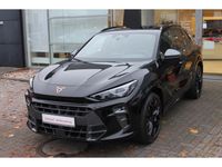 Cupra Terramar - Vorschau Bild 2
