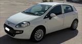 Fiat Punto Evo 1.3 Finanziaria senza Busta Paga - Fiat Punto Evo mit Diesel-Antrieb