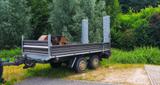 Barthau LHS 5000 - Barthau LKWs