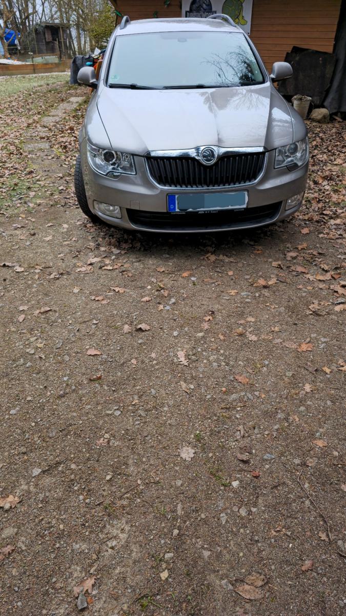 Skoda Superb 2011 — rear view