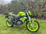 Benelli BN 125 - BENELLI BN 125