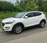 Hyundai Tucson 1,6 Turbo Automatik, Panora... - Hyundai TUCSON: Hyunda