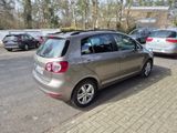 Volkswagen Golf Plus 1.2 TSI DSG MATCH MATCH - Volkswagen Golf Plus: Dsg