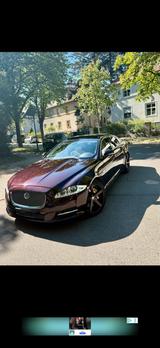 Jaguar XJ Long  - gebrauchte Jaguar XJ aus dem Jahr 2011