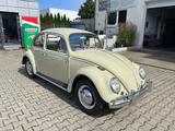 Volkswagen Käfer Sammlerstück sauber Restauriert - Volkswagen aus 1965