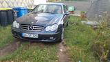 Mercedes-Benz 320 - Mercedes-Benz 320: Coupé