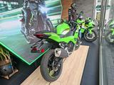 Kawasaki Ninja 500 SE Grün Modell 2025 sofort lieferbar - KAWASAKI NINJA 500 SE