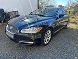 Jaguar XF 3.0 V6 Diesel Premium Luxury Neu... - Jaguar XF in Bochum
