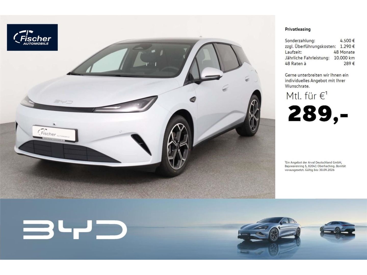 BYD DOLPHIN
