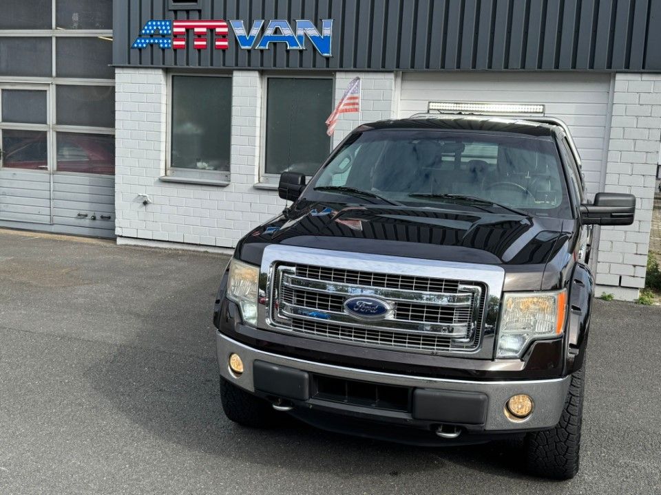 Fahrzeugabbildung Ford F 150 5.0 V8 4x4 LPG Leder Kamera viele Extra´s