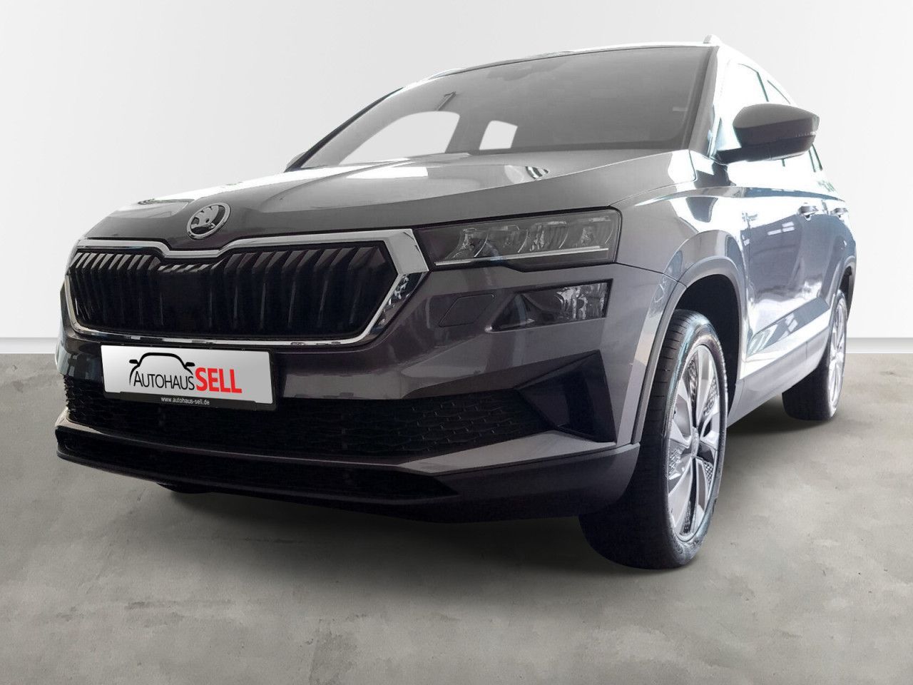 Fahrzeugabbildung SKODA Karoq Selection S110/1.5A7F, AHK