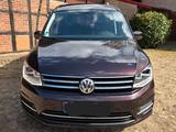 Volkswagen Caddy Maxi 2.0 TDI DSG Highline 7-Sitzer, ACC - VW Caddy Maxi von privat