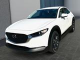 Mazda CX-30  Prime-Line 2.5L e-SKYACTIV G 140 CX-30  P - Mazda CX-30: Prime Line