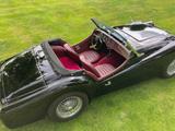 Triumph TR3 - aus 1958 mit Benzin-Antrieb: Cabrio