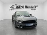 Ford Mustang 3.7 V6 Kamera+Leder Cricket+Roush Optik - Ford Mustang: Roush