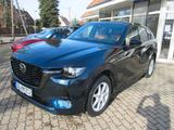 Mazda CX-60 3.3L e-SKYACTIV D 254 8AT AWD Homura Plus - : Geländewagen, Awd