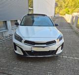 Kia XCeed 1.6 CRDi 48V DCT Platinum, Panoramadach - Kia XCeed von privat