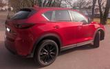 Mazda CX-5 2.5 Edition 100 AWD 360* Headup 8fach-Reife - Mazda CX-5 Gebrauchtwagen in Stuttgart