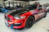 Ford Mustang GT 5,0 Gt 350 SHELBY PREMIUM VOLL - Ford Mustang: Gt350