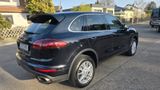 Porsche Cayenne Diesel-1.Hand,Luft,SCHECKHEFT,Pano,BOSE - Porsche Cayenne in Berlin