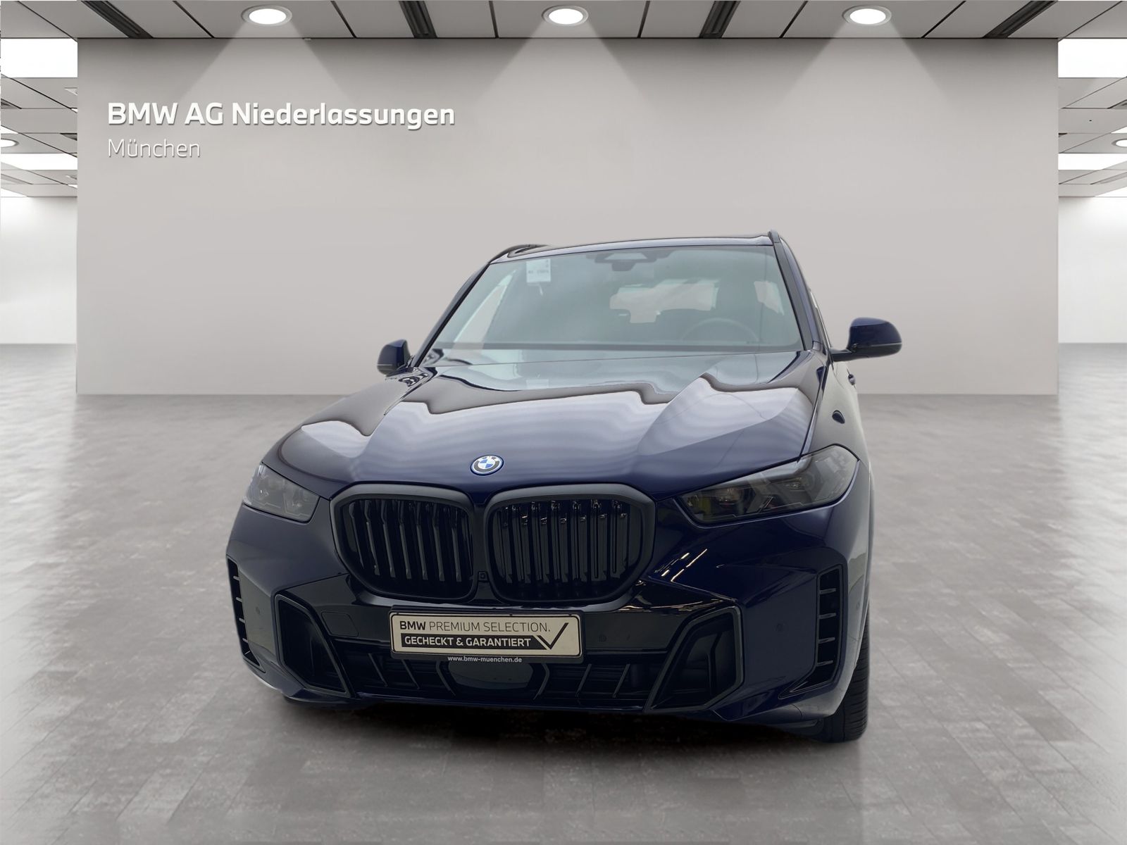 BMW X5 xDrive50e M Sport AHK Driv.Assist.Prof LED foto 4