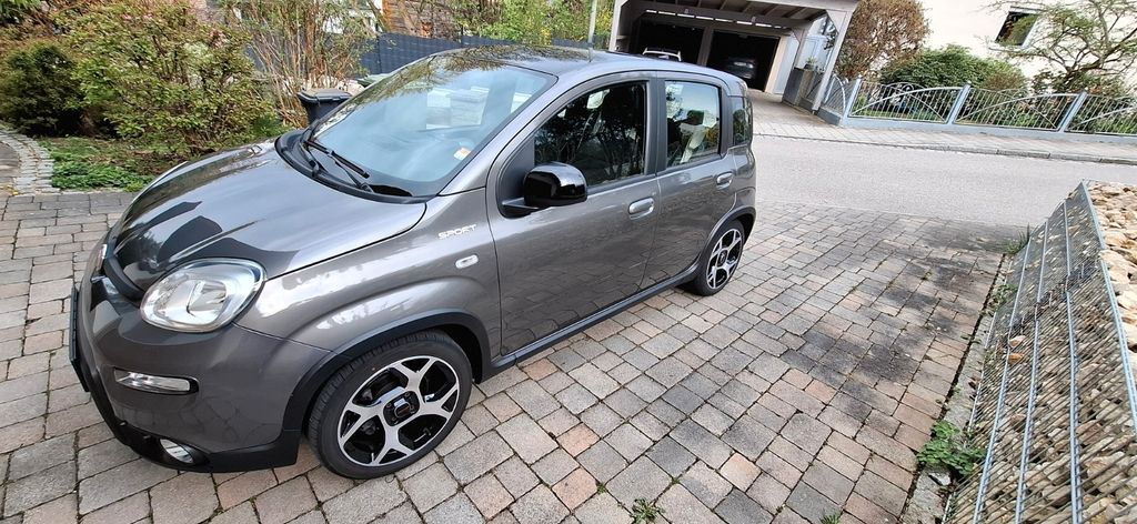 Image of Fiat Panda
