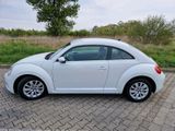 Volkswagen VW Beetle 1,6 l TDI  Käfer - Volkswagen: Sportwagen, Kaefer