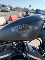 Harley-Davidson Iron 883 Sportster - Angebote entsprechen deinen Suchkriterien