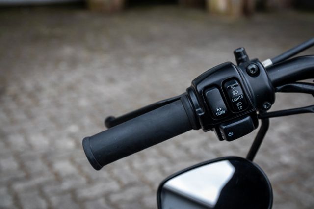 Fahrzeugabbildung Harley-Davidson XL1200X SPORTSTER FORTY-EIGHT - REMUS -