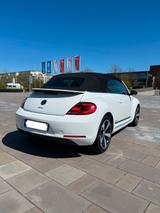 Volkswagen Beetle 1.6 TDI DSG Design BMT Cabriolet Desi... - Volkswagen Beetle: TDI