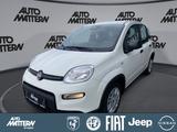 Fiat Panda 1.0 Mild Hybrid - Fiat Panda Tageszulassungen mit Benzin-Antrieb
