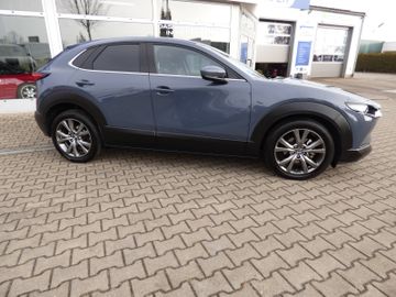 Bild 3 Mazda CX-30 2.0 SKYACTIV-X M Hybrid Selection AHK, B