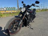 Harley-Davidson Night Rod Special deutsches Modell  - HARLEY-DAVIDSON MODEL