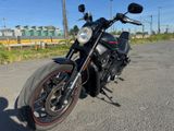Harley-Davidson Night Rod Special deutsches Modell  - Angebote entsprechen deinen Suchkriterien