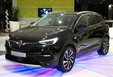 Opel Grandland (X) *LEDER*LED*ALU*PDC*SHZ*KLIMAAUT*BC - Opel Gebrauchtwagen in Bonn