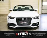 Audi A5 2.0 TDI Cabrio quattro BI-XENON PDC S-LINE - Audi A5 in Hamm