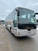 MAN R 09, R08, Tourismo 16, P15, 416, 516 - MAN 16