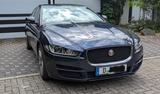 Jaguar XE 25t 240PS Portfolio Automatik Portfolio - : Auto24