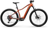 Centurion Backfire Fit R2000i L 29" 50cm - Centurion E-Bikes