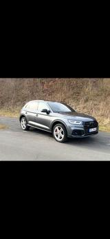 Audi SQ5 TDI tiptronic quattro - - Audi SQ5 aus 2020