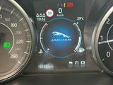 Jaguar E-Pace E-PACE Basis - Jaguar Gebrauchtwagen in Mannheim