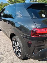 Citroën C4 Cactus PureTech 110 S&S Shine Shine - Citroën C4 Cactus aus 2018